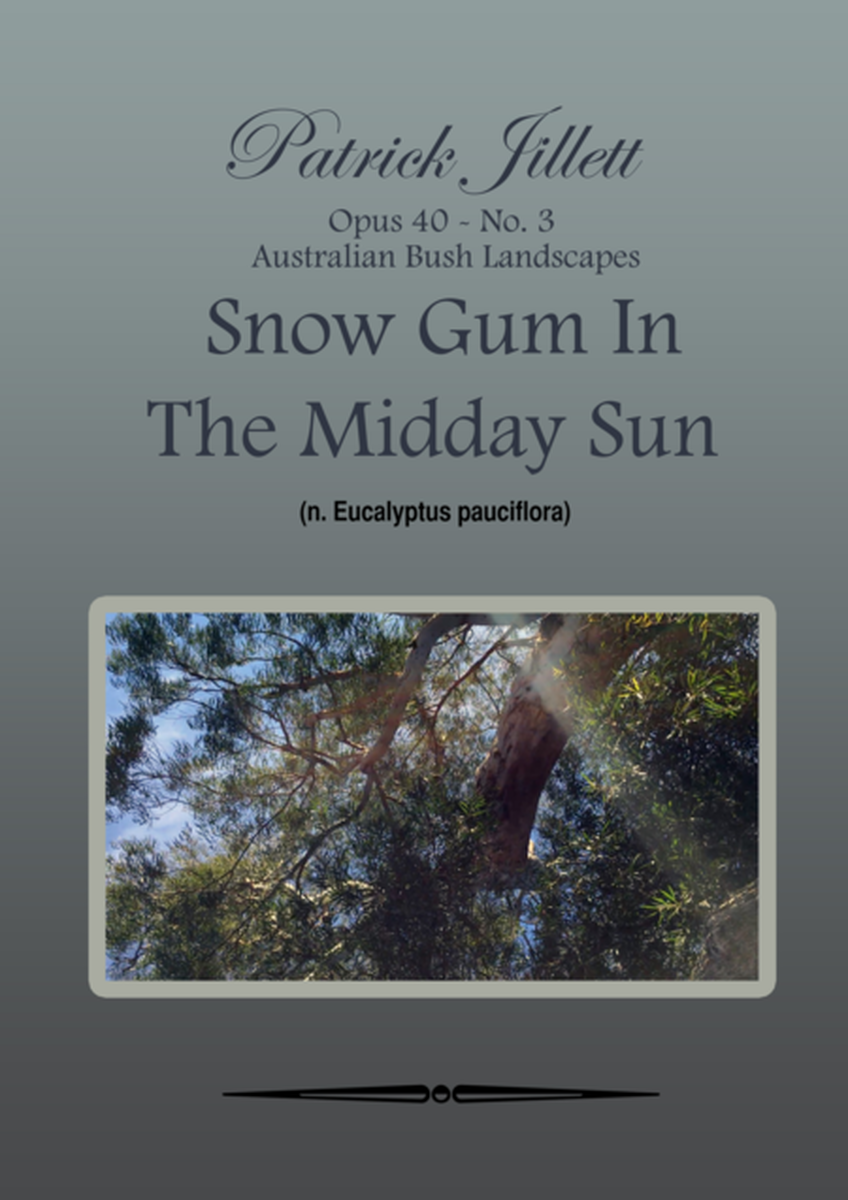 Snow Gum in the midday sun - Australian Bush Landscapes image number null