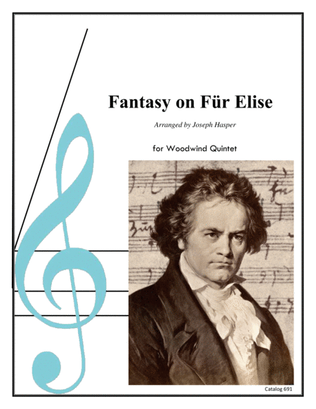Book cover for Fantasy on Für Elise (Woodwind Quintet)