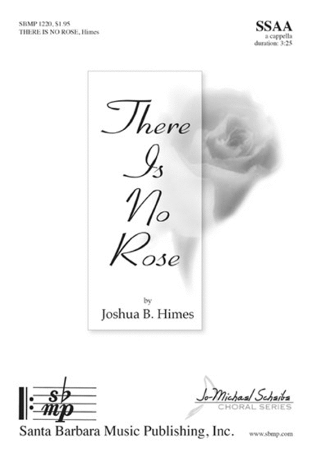 There Is No Rose