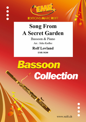 Book cover for Song From A Secret Garden