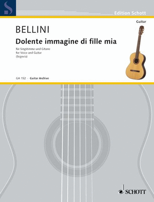 Book cover for Dolente immagine di fille mia