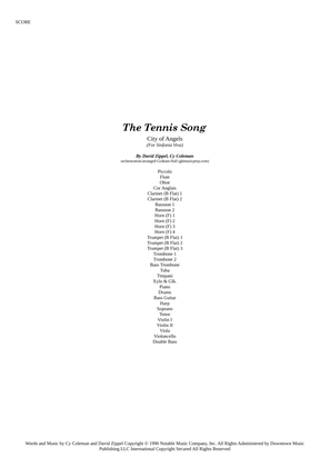 Book cover for The Tennis Song
