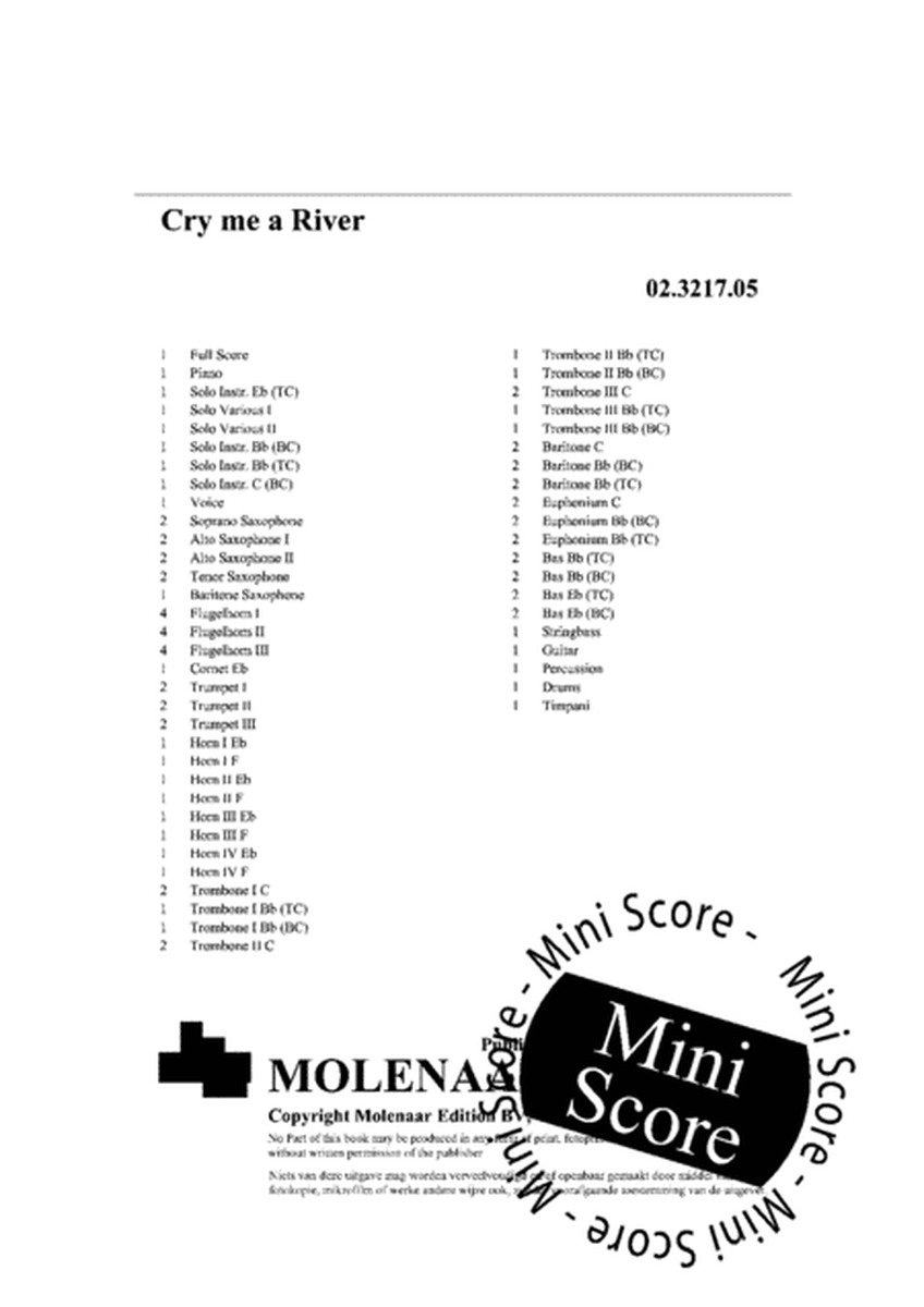 Cry me a River image number null