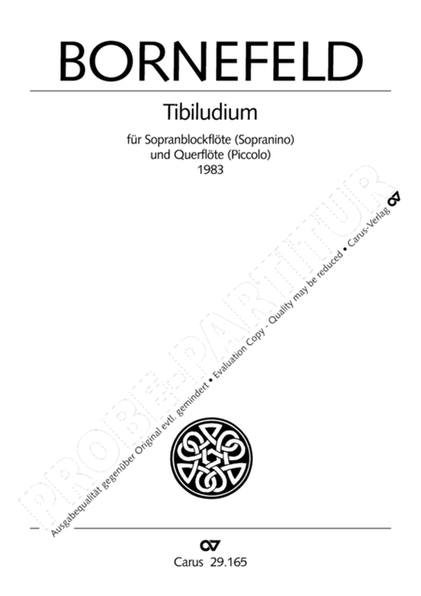 Tibiludium