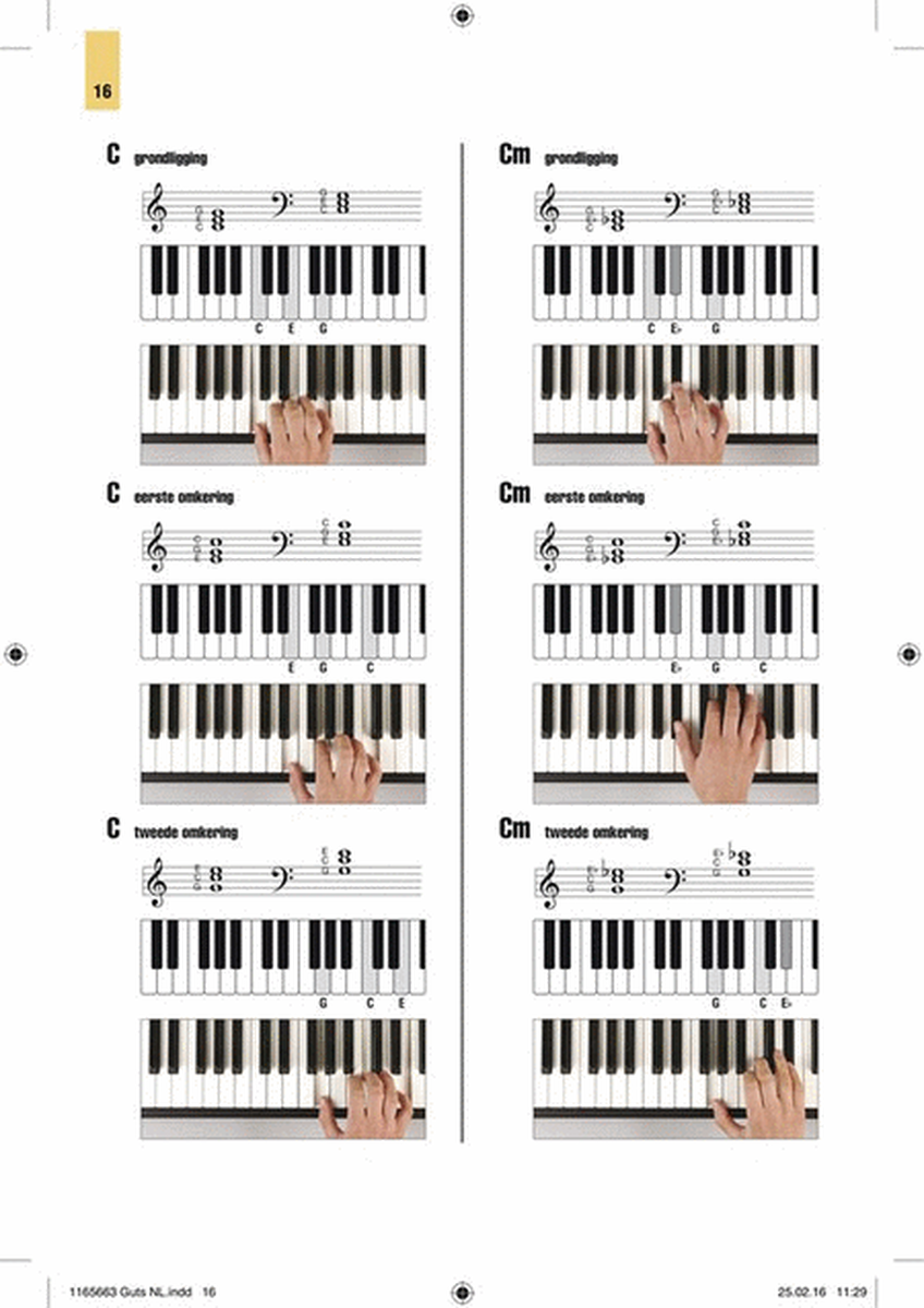 Akkoorden Deluxe voor Toetsinstrumenten