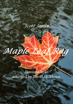 Book cover for Maple Leaf Rag