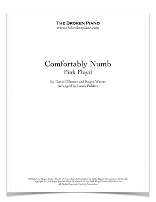 Book cover for Comfortably Numb