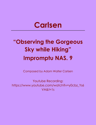Book cover for Observing the Gorgeous Sky while Hiking Impromptu NAS. 9
