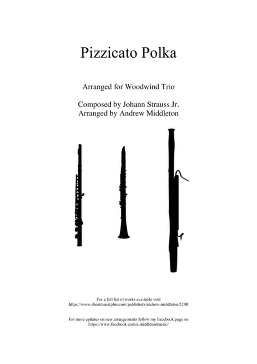 Pizzicato Polka arranged for Woodwind Trio image number null