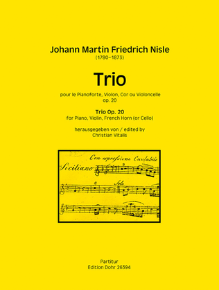 Trio für Violine, Horn (oder Violoncello) und Klavier op. 20