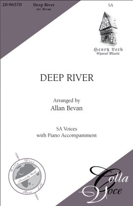 Book cover for Deep River