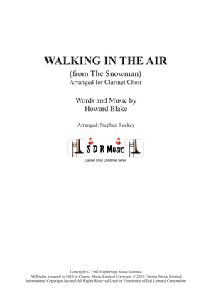 Book cover for Walking In The Air