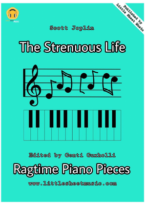 Book cover for The Strenuous Life