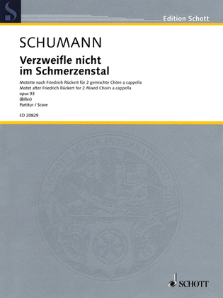 Book cover for Verzweifle nicht im Schmerzenstal, Op. 93