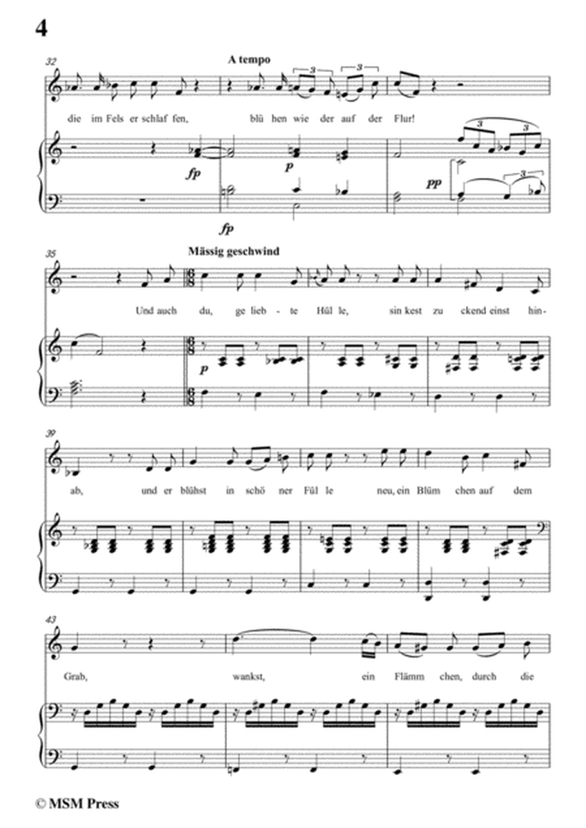 Schubert-Auf einem Kirchhof,in F Major,for Voice&Piano image number null