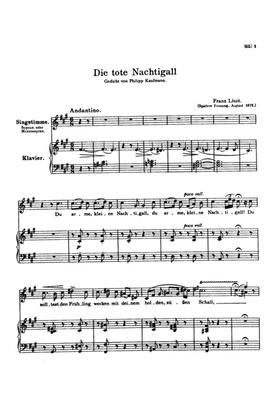 Liszt: Songs, Volume V, Nos. 1-25 (German)