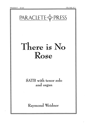 Book cover for There is no Rose