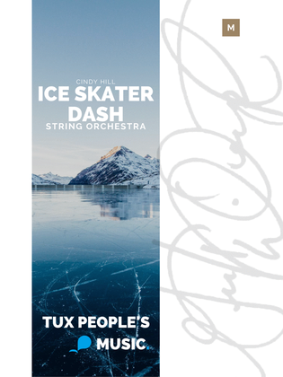 Book cover for Ice Skater Dash
