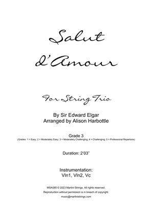 Book cover for Salut d'Amour