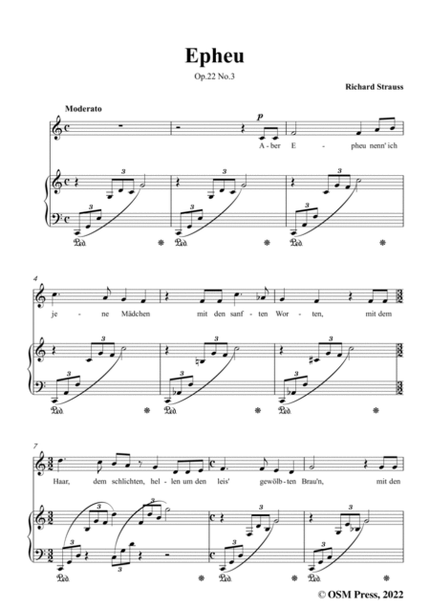 Richard Strauss-Epheu,Op.22 No.3,in C Major image number null