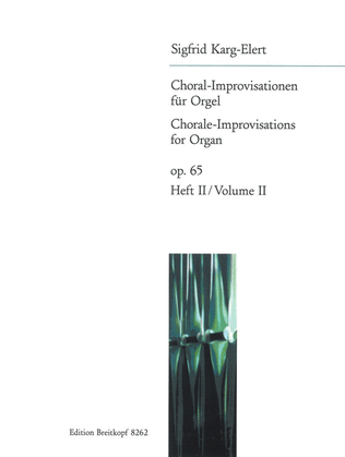 Book cover for 66 Chorale Improvisations Op. 65