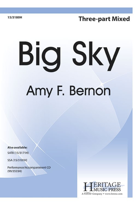 Book cover for Big Sky