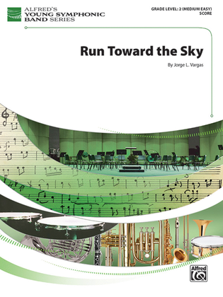 Book cover for Run Toward the Sky