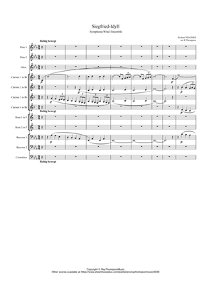 Book cover for Wagner: Siegfried Idyll - symphonic wind (duodectet - 12 players)