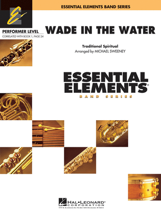 Book cover for Wade in the Water