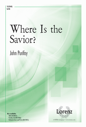 Book cover for Where Is the Savior?