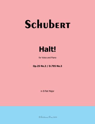 Halt! by Schubert, Op.25 No.3, in B flat Major