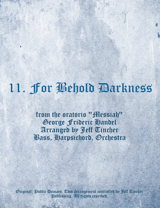 Book cover for 11. For Behold Darkness