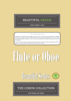 Book cover for No.3 Beautiful Dream (Flute or Oboe)