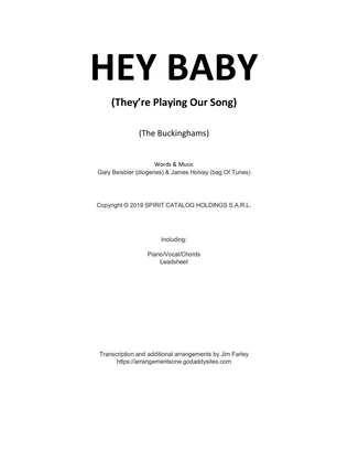 Book cover for Hey Baby