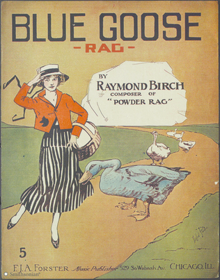 Book cover for Blue Goose Rag