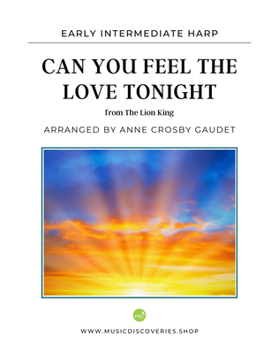 Book cover for Can You Feel The Love Tonight