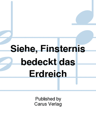 Book cover for Siehe, Finsternis bedecket das Erdreich