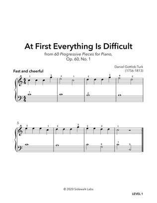 Book cover for At First Everything Is Difficult