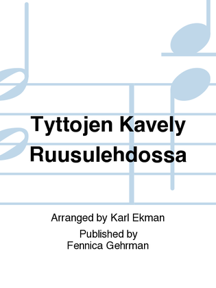 Book cover for Tyttojen Kavely Ruusulehdossa