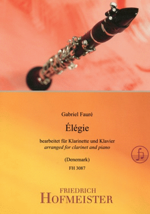 Elegie op. 24