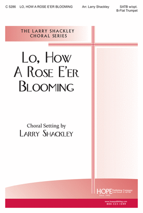 Lo, How a Rose E'er Blooming