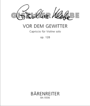 Book cover for Vor dem Gewitter for Solo Violin op. 128