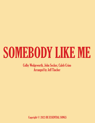 Book cover for Somebody Like Me