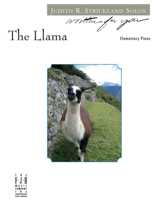 Book cover for The Llama