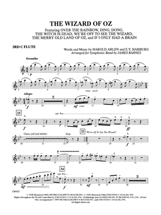 Book cover for The Wizard of Oz (Medley): 3rd Flute