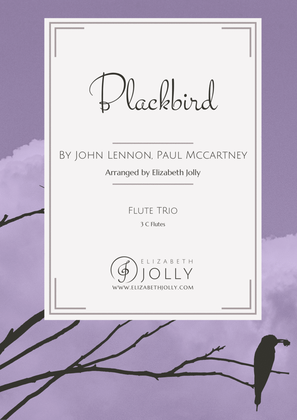 Book cover for Blackbird