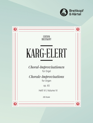 Book cover for 66 Chorale Improvisations Op. 65