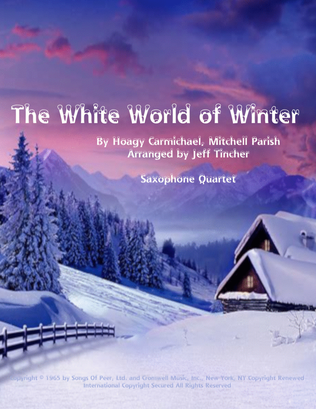 Book cover for The White World Of Winter