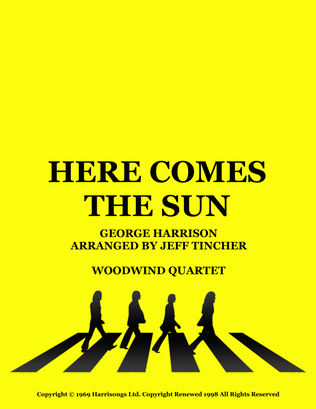 Book cover for Here Comes The Sun