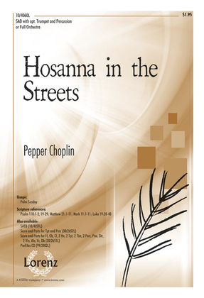 Book cover for Hosanna in the Streets